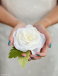 Crepe Paper Garden Roses - Lia Griffith
