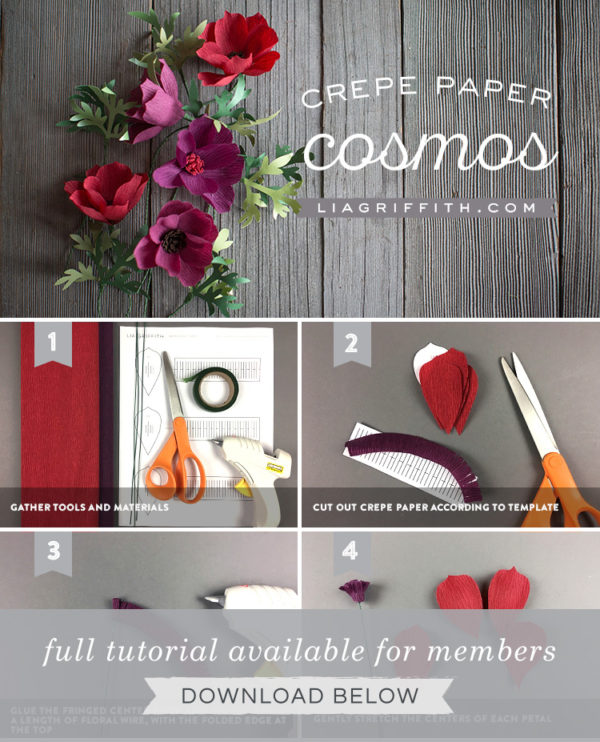 Crepe Paper Cosmos Easy DIY Paper Flower for Beginners