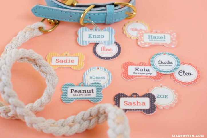 DIY Pet Tags
