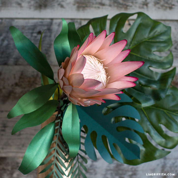 Paper Protea Flower - Lia Griffith