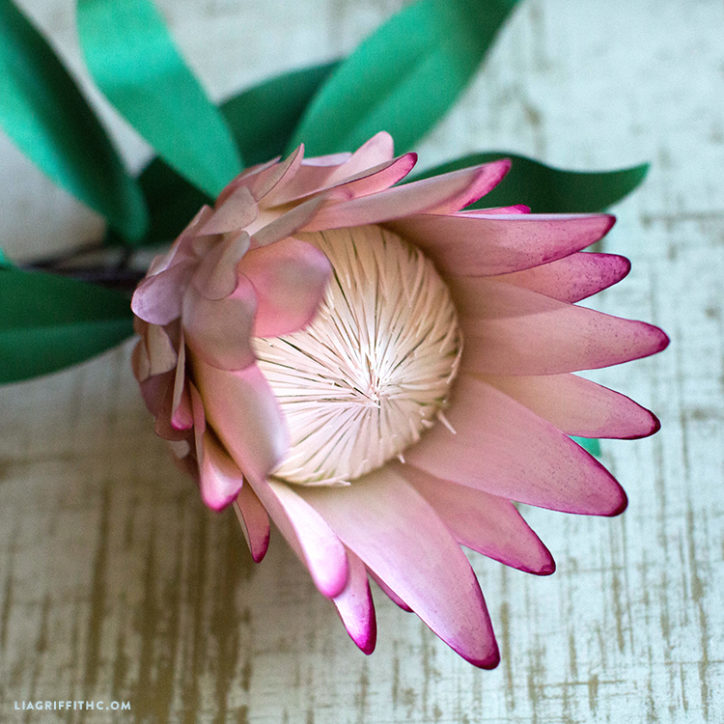 Paper Protea Flower - Lia Griffith