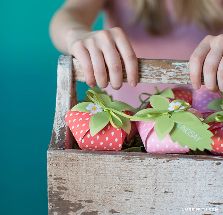 Strawberry Treat Boxes Lia Griffith