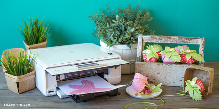 Strawberry Treat Boxes Lia Griffith