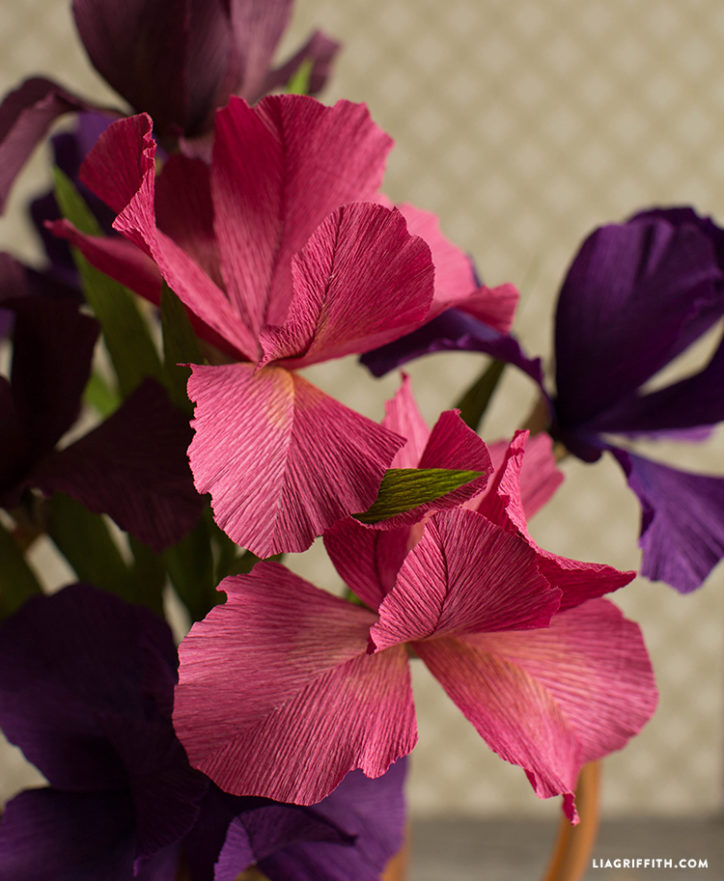 Crepe Paper Iris Blooms Lia Griffith