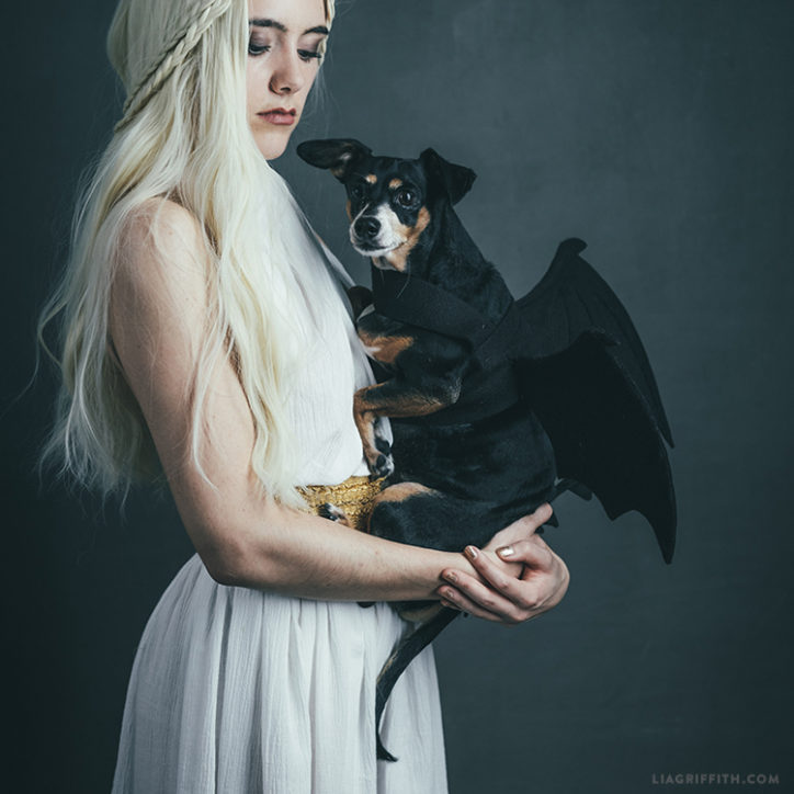 Easy DIY Dragon Costume for Your Dog Lia Griffith