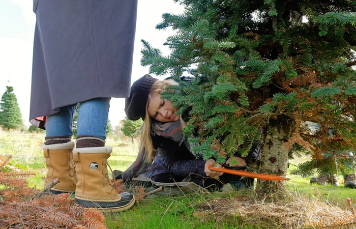 Video: Our Visit to the Christmas Tree Farm - Lia Griffith