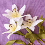 Crepe Paper White Asiatic Lily