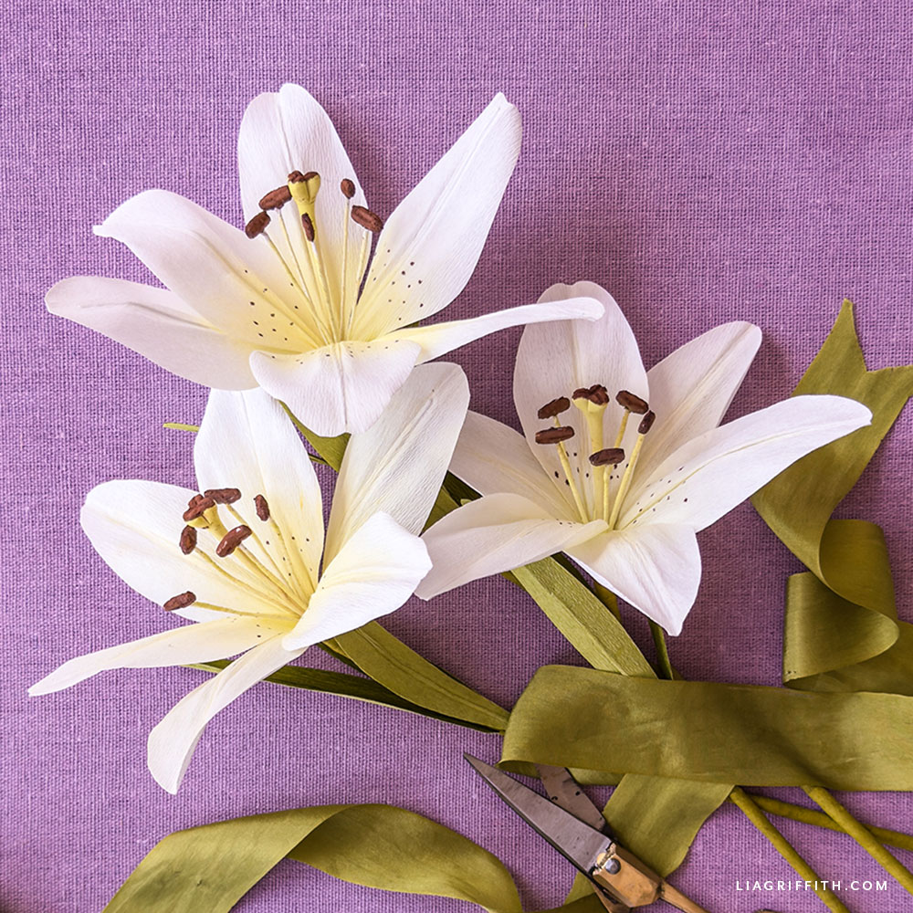 Crepe Paper White Asiatic Lily