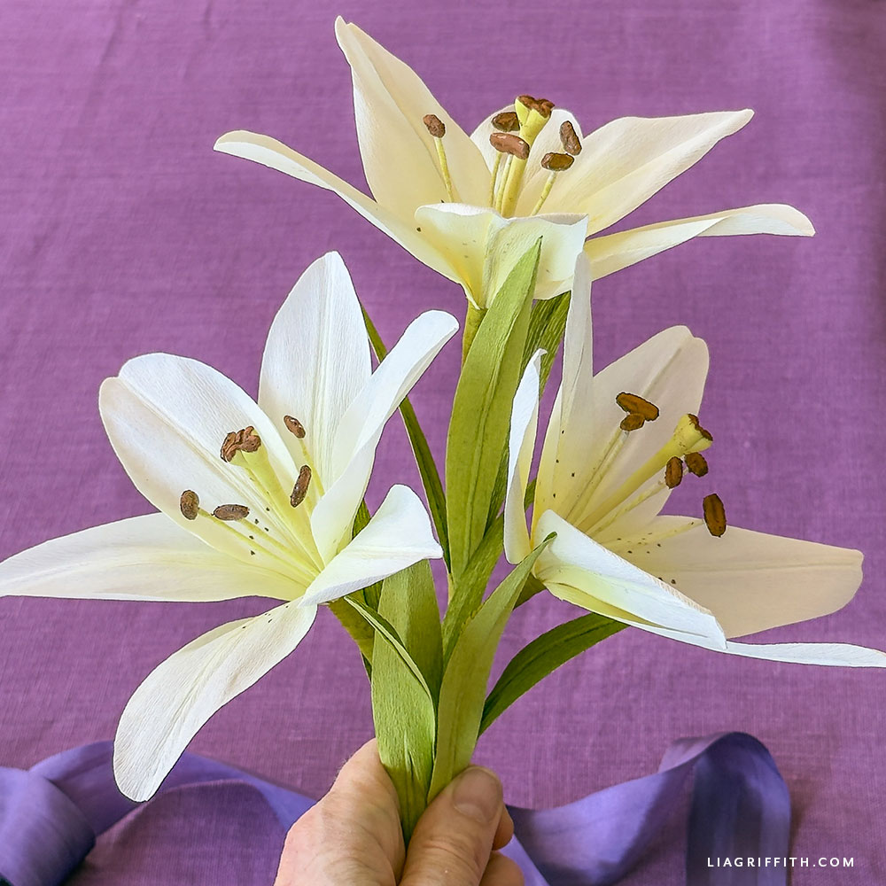 Crepe Paper White Asiatic Lily