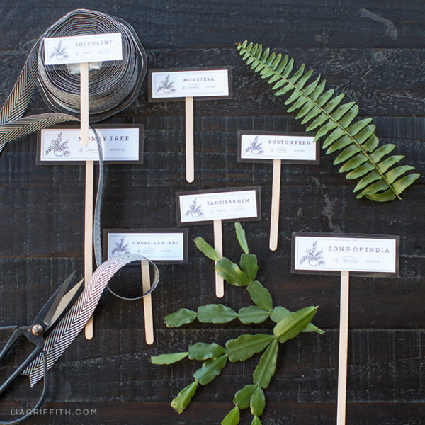 Keep Your Plants Happy With These Plant Markers - Lia Griffith