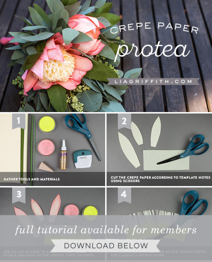 Crepe Paper Protea Flower Bouquet - Lia Griffith