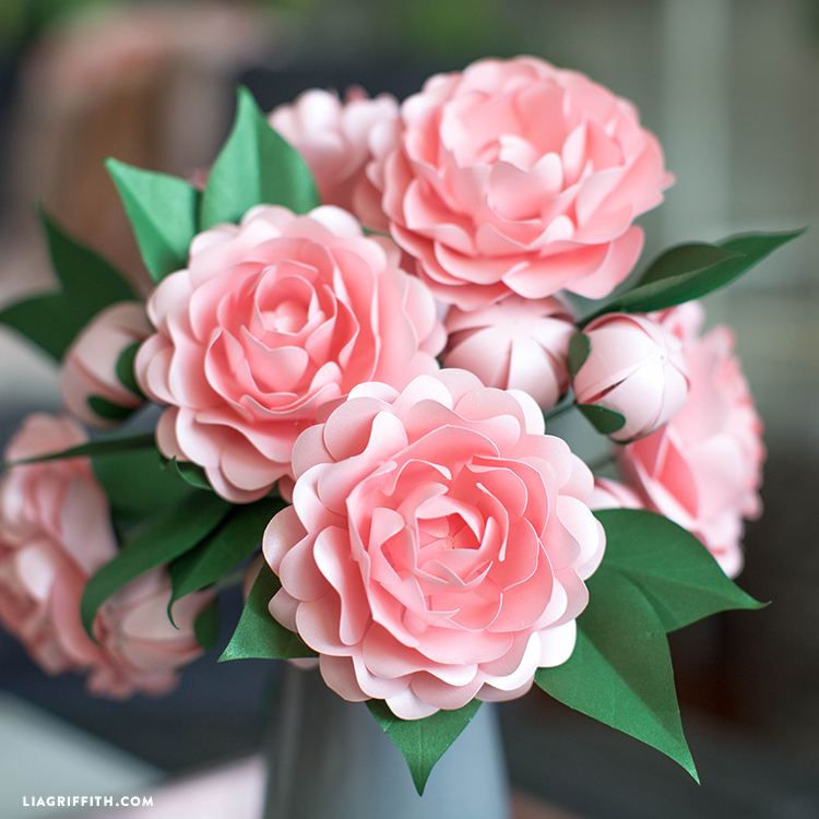 frosted paper camellias