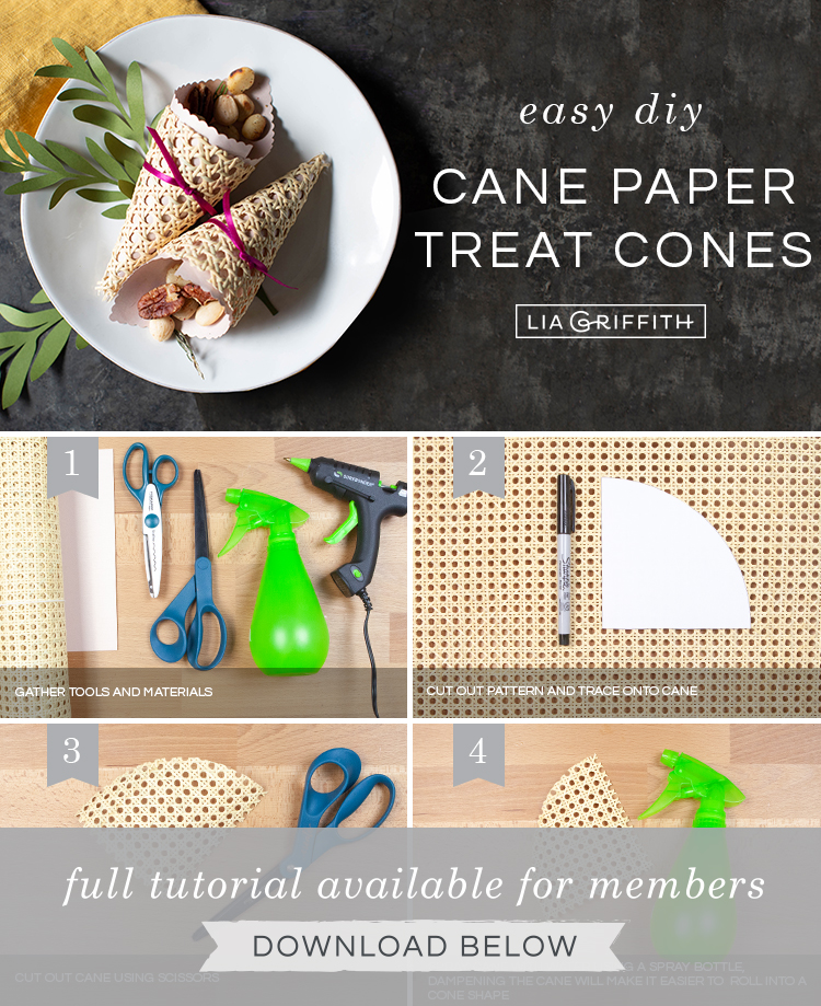 How to Make Cornucopia Treat Cones Lia Griffith