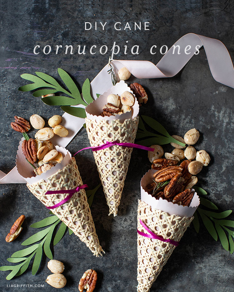 How to Make Cornucopia Treat Cones Lia Griffith
