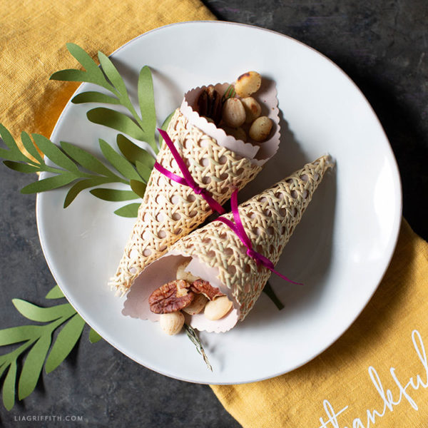 How to Make Cornucopia Treat Cones Lia Griffith