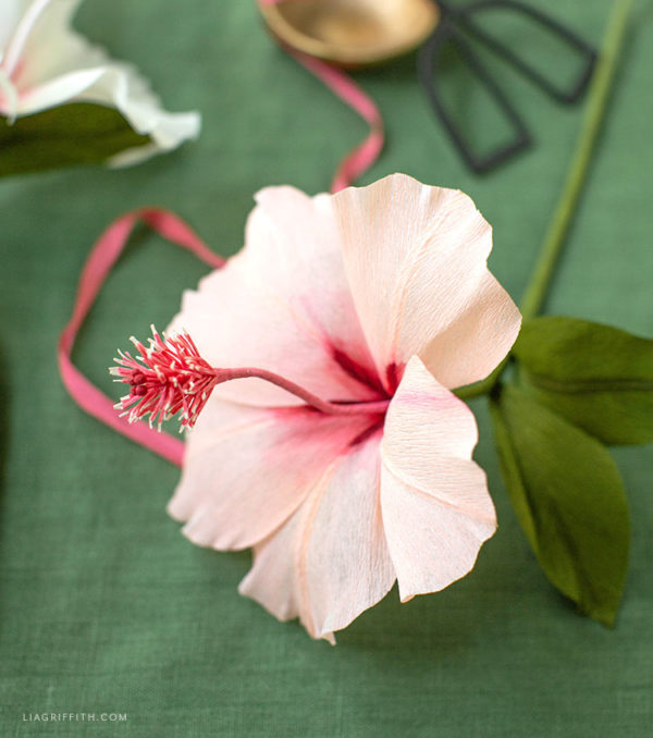 May Member Make Crepe Paper Hibiscus Flowers Lia Griffith