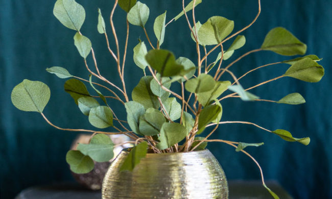 crepe paper silver dollar eucalyptus