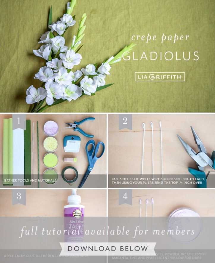 Crepe Paper Gladiolus Member Make Lia Griffith