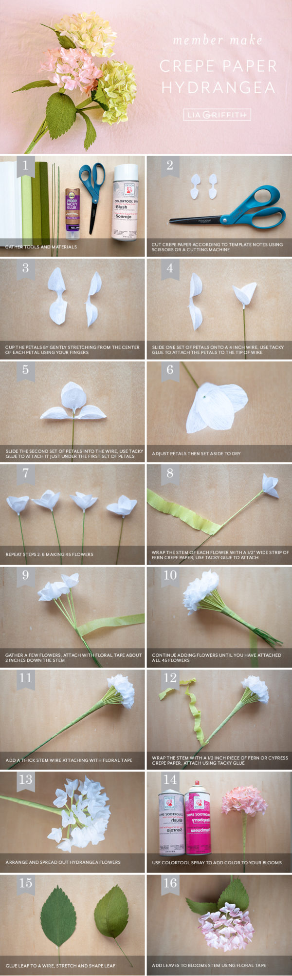 Member Make Crepe Paper Hydrangea Photo Tutorial Lia Griffith