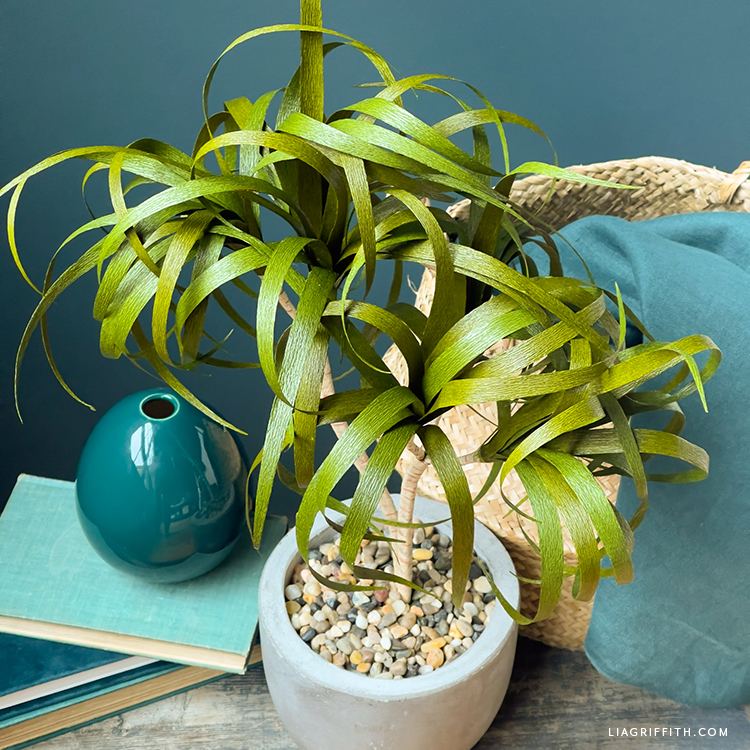 Crepe Paper Dragon Tree Plant DIY Tutorial - Lia Griffith