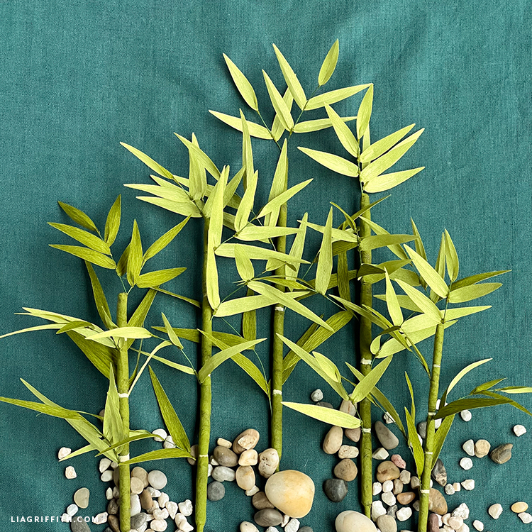 Bamboo Paper Tutorial Crepe Paper Bamboo Plant Video Tutorial - Lia Griffith
