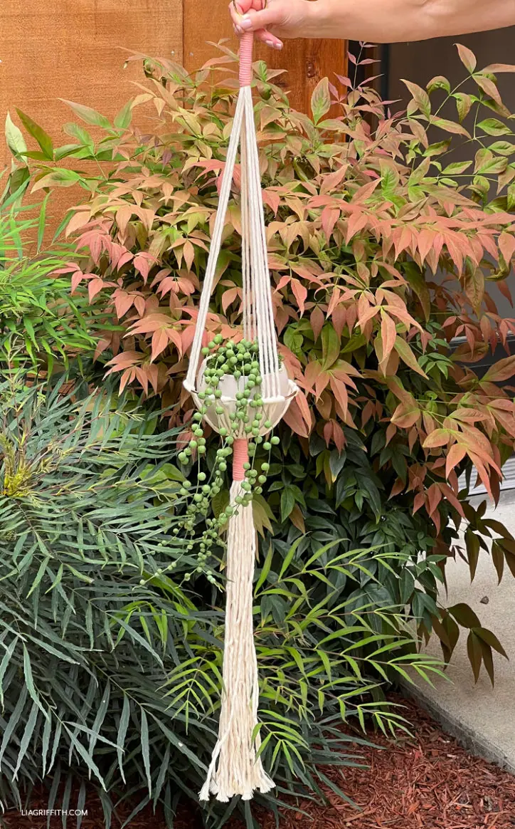 Gold Ring Macrame Plant Hanger DIY Tutorial - Lia Griffith