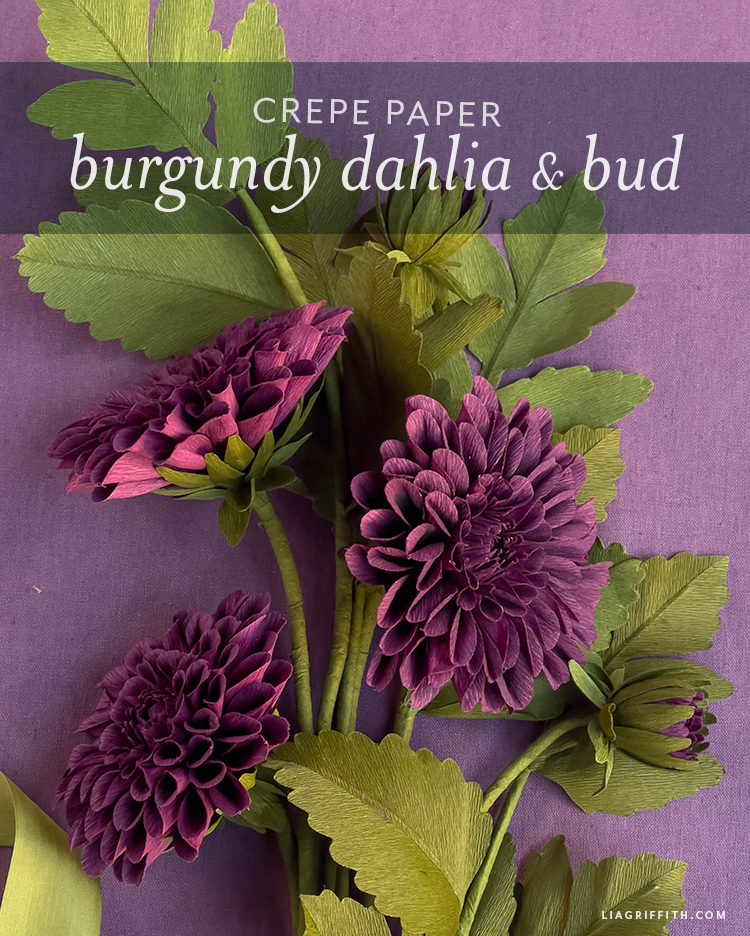 Burgundy Crepe Paper Dahlia Template & Tutorial Lia Griffith