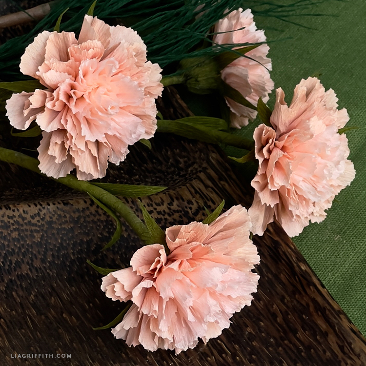 Crepe Paper Pink Carnations Template & Tutorial Lia Griffith