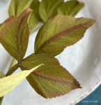 Crepe Paper Hybrid Tea Rose Template & Tutorial - Lia Griffith