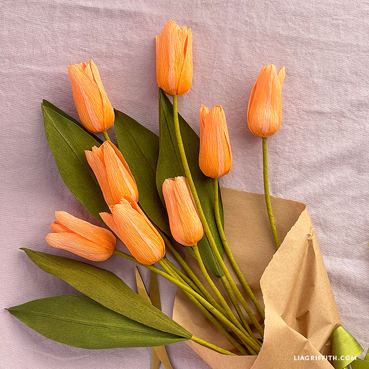 Heavy Crepe Paper Tulips Template & Video Tutorial Lia Griffith
