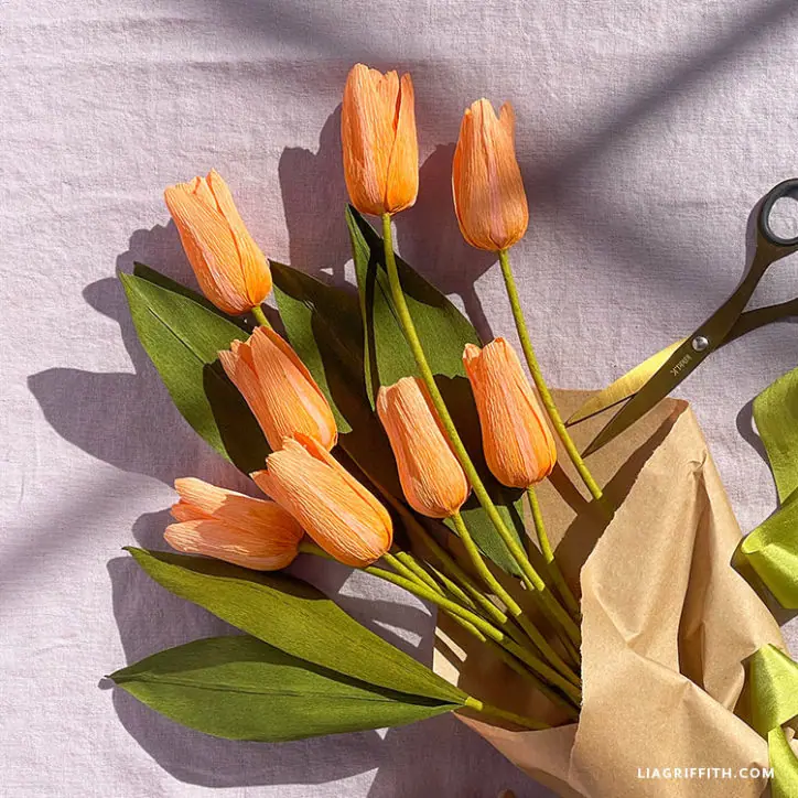 Heavy Crepe Paper Tulips Template & Video Tutorial - Lia Griffith