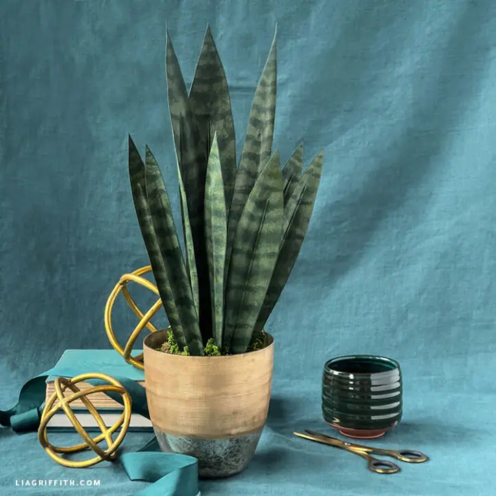 Painted Crepe Paper Snake Plant Template & Tutorial - Lia Griffith