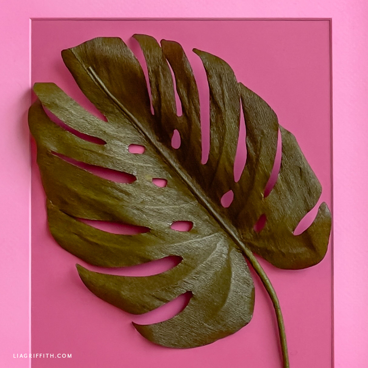 Framed Crepe Paper Monstera Leaf DIY Template & Tutorial Lia Griffith