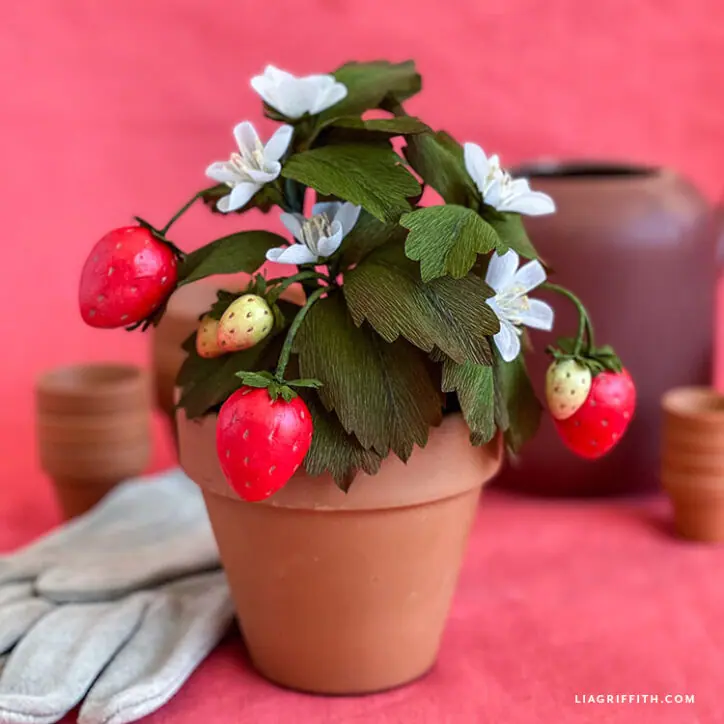 Crepe_Paper_Strawberry_Plants_