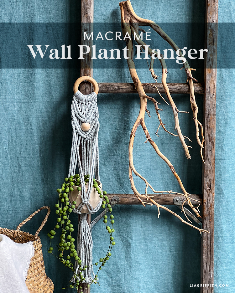 Snapshot of Textured Macrame Plant Hanger Apartment Walls