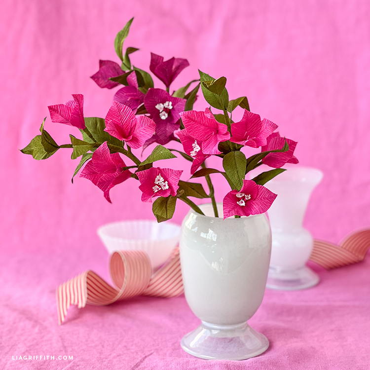 Crepe Paper Bougainvillea Member Make Lia Griffith