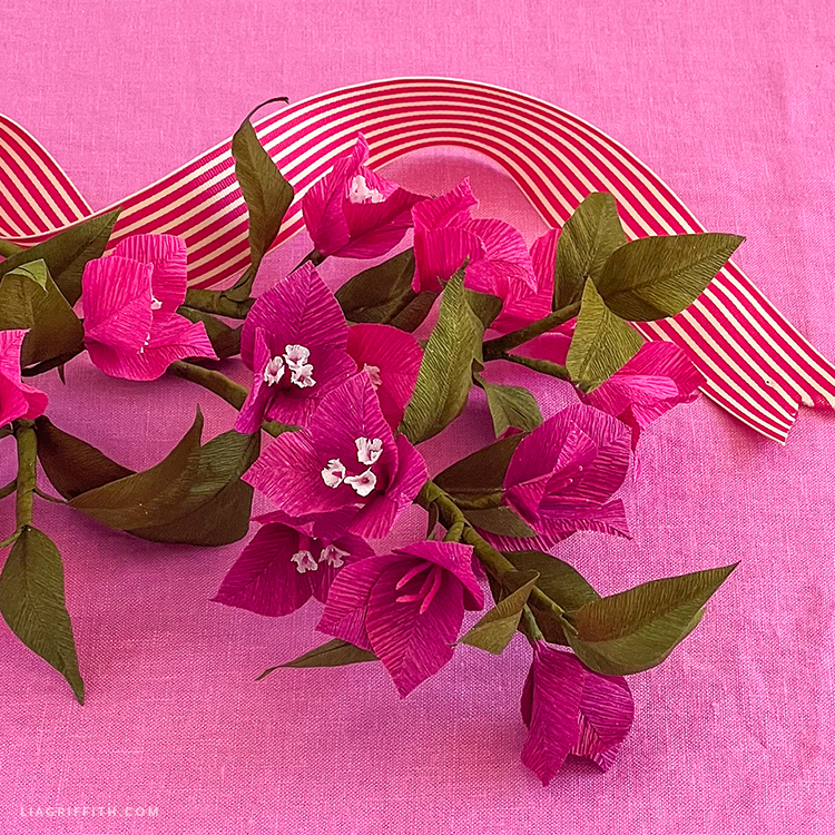 Crepe Paper Bougainvillea Member Make Lia Griffith