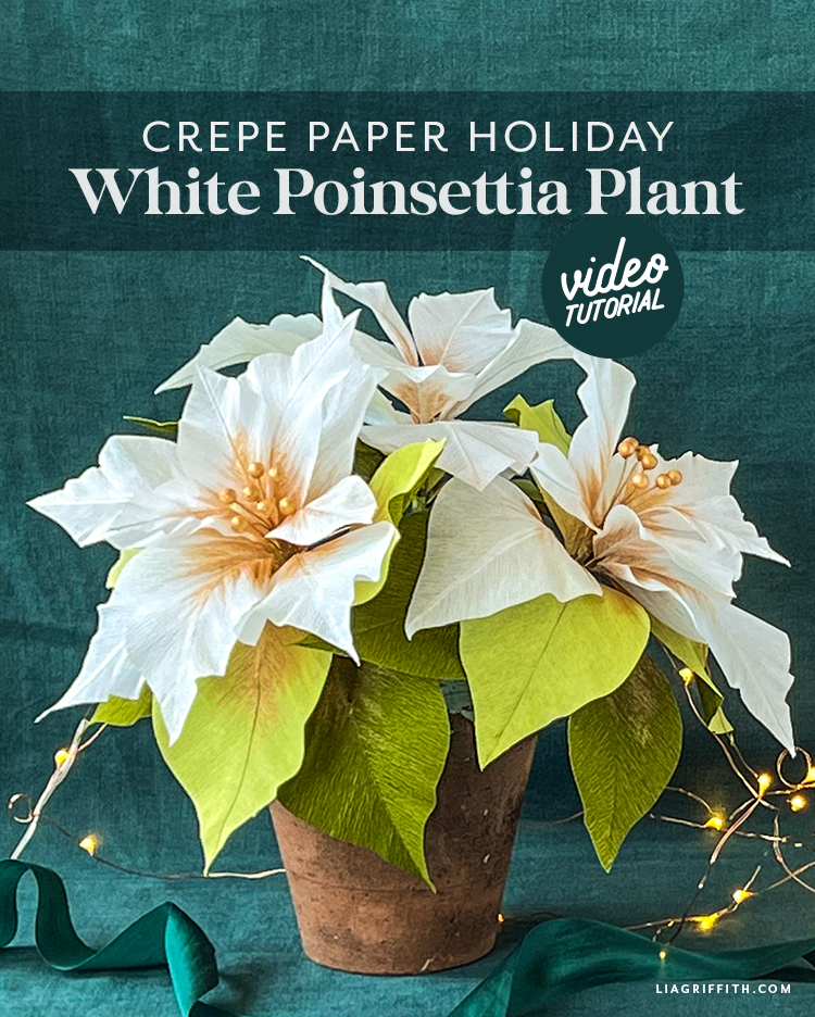 VIDEO White Crepe Paper Poinsettia Plant Lia Griffith
