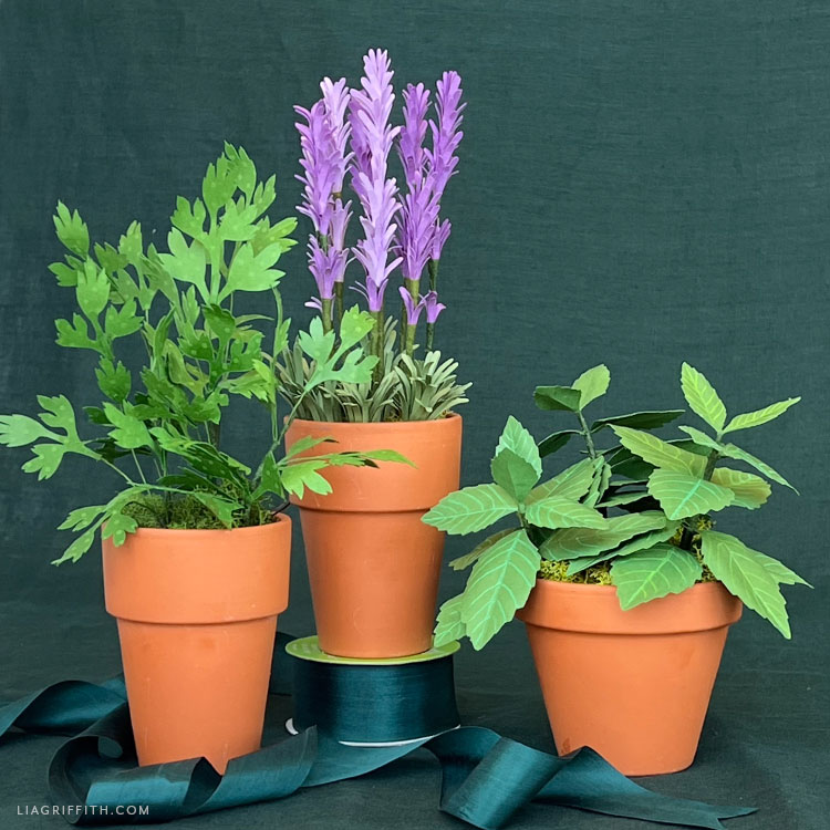 Cardstock Paper Herbs