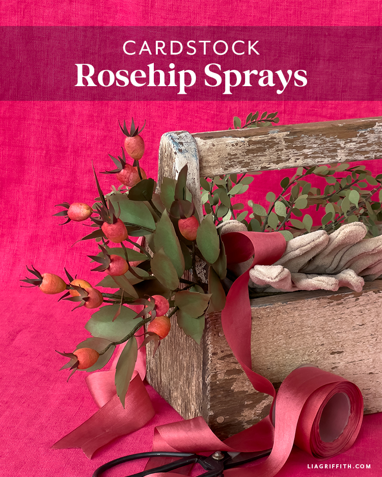 Rustic Roses Cardstock Cardstock Rose Hips - Lia Griffith