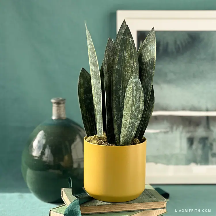 Cardstock Snake Plant - Lia Griffith
