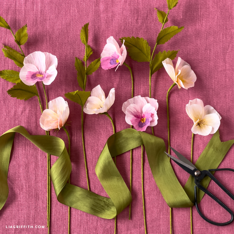 Crepe Paper Pansy Member Make Lia Griffith