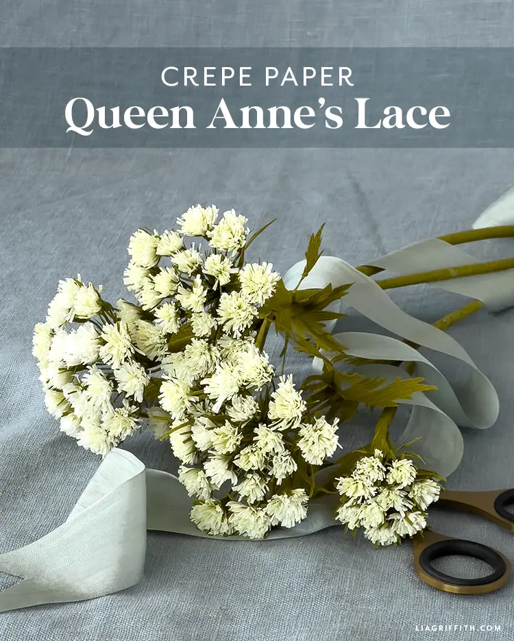 Crepe_Paper_Queen_Anns_Lace_1.