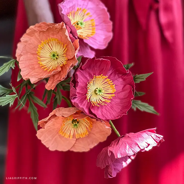 Cardstock Poppies - Lia Griffith