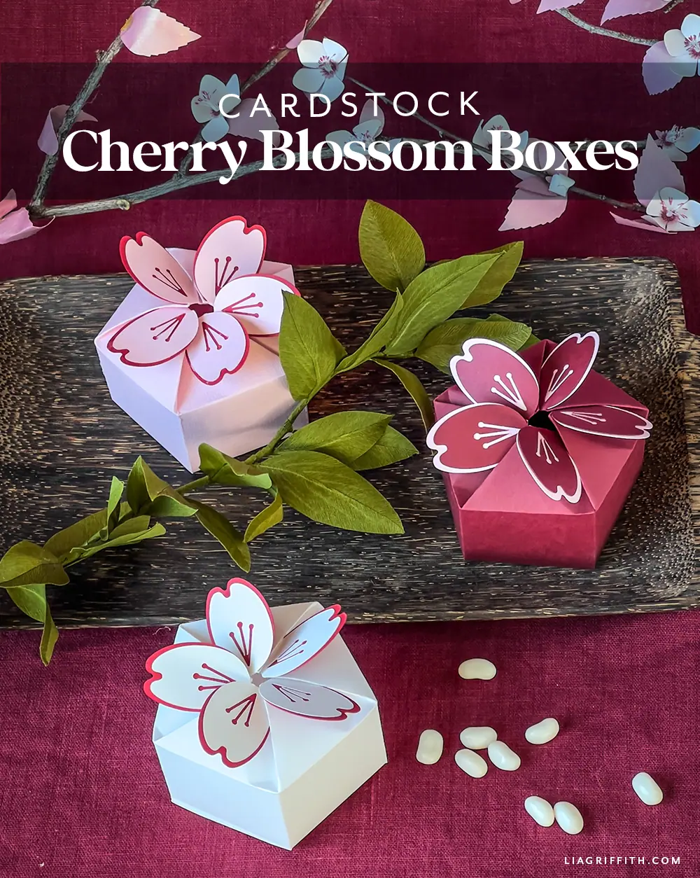 Cherry Blossom Treat Boxes - Lia Griffith