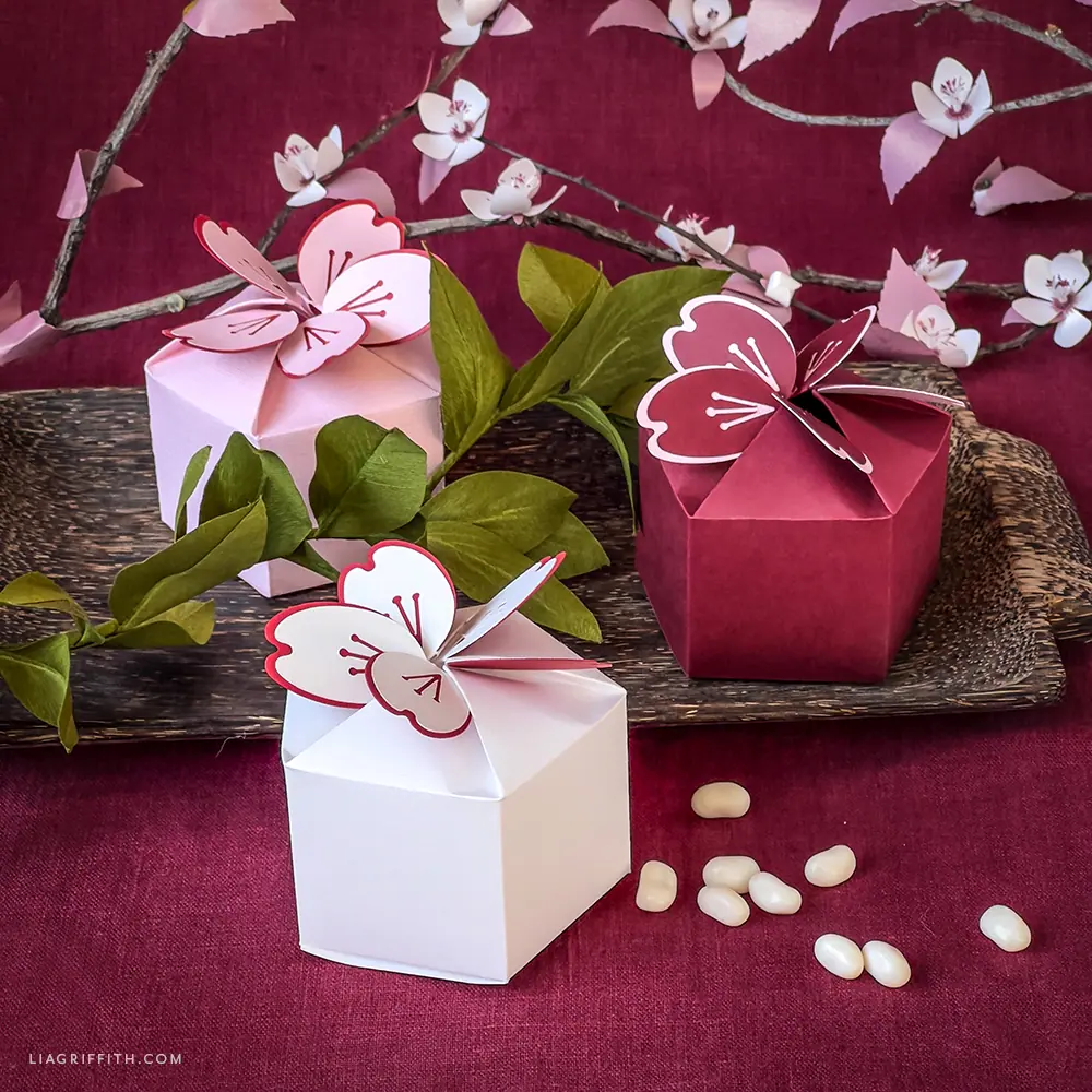 Cardstock_Cherry_Blossom_Boxes