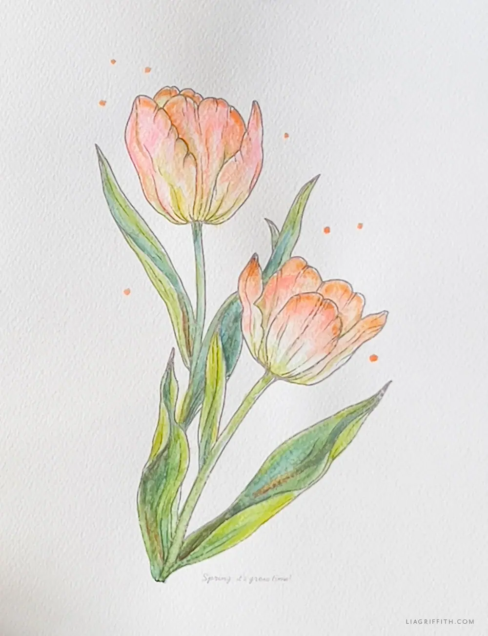 DIY Watercolor Techniques for Beautiful Tulips - Lia Griffith
