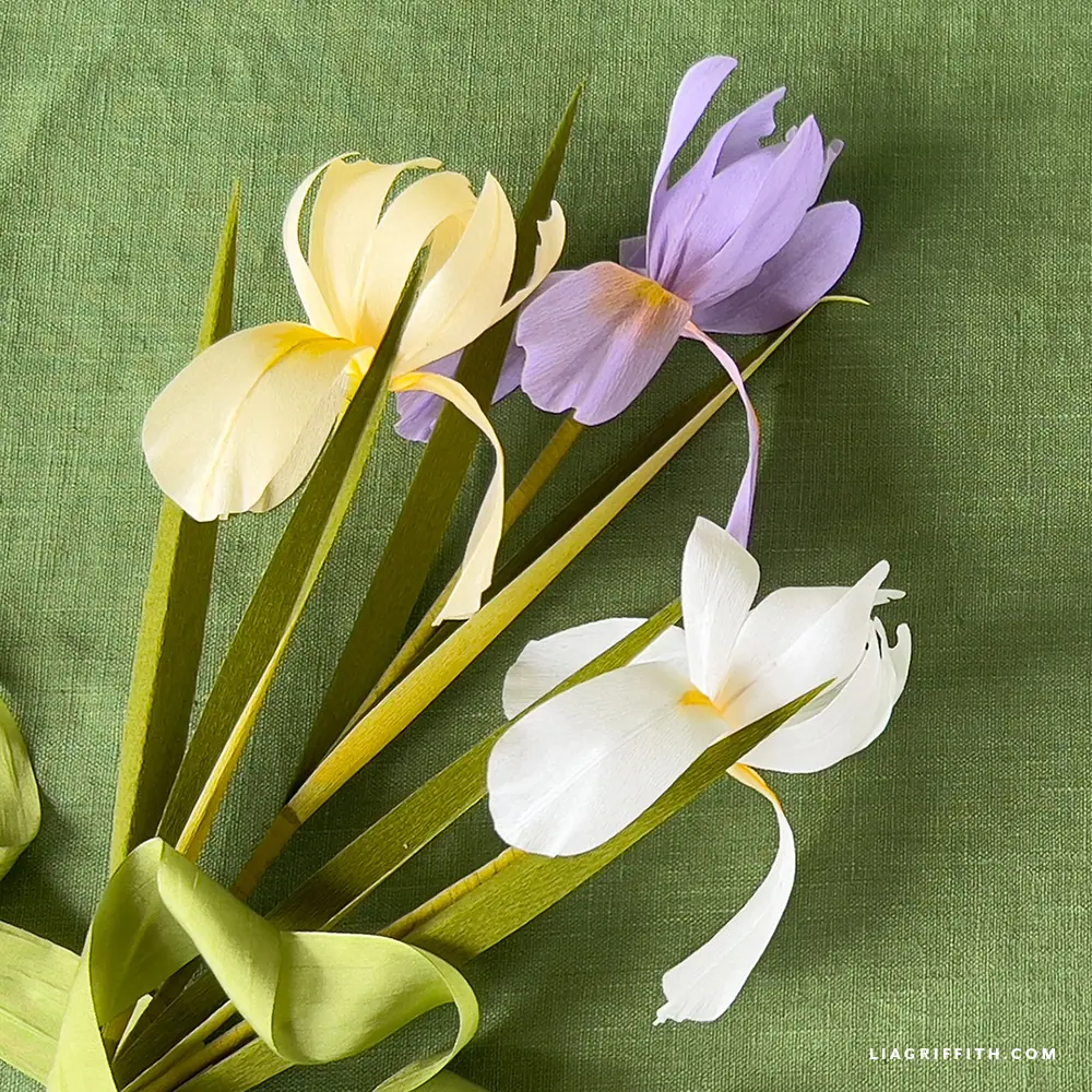 Pas de Fleurs リトグラフ 3/100 Pas de Fleurs リトグラフ 3/100