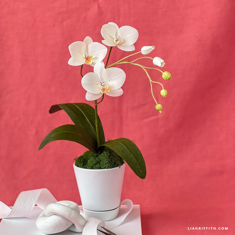 Crepe Paper Orchid Workshop: Create Stunning Blooms - Lia Griffith