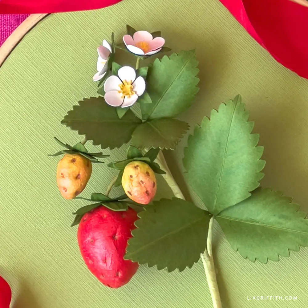 Mounted Paper Strawberry Artwork - Lia Griffith